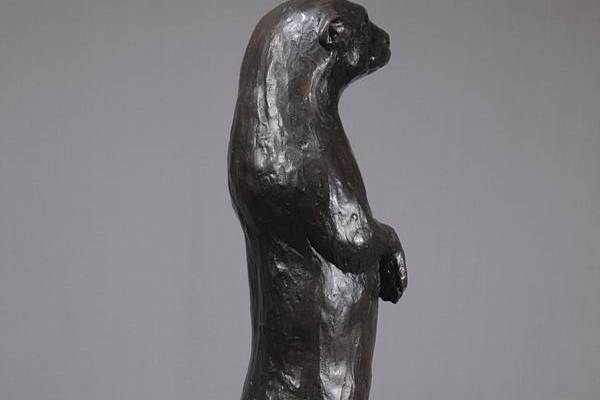 Standing Otter