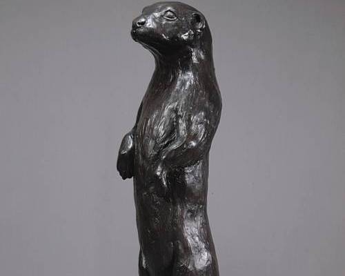 Otter Standing