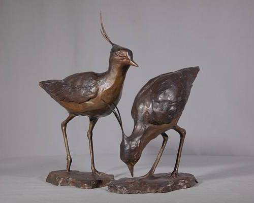 Lapwings
