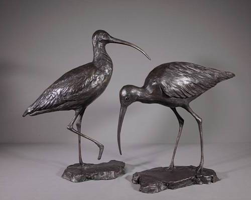 Curlews